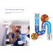 3-bottle pipeline dredging agent sewage cleaning agent kitchen bathroom sewage deodorization cleaning and dredging - Buy Online on GoSupps.com