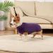 Hjyokuso Dog Sweater & Coat - Warm Lightweight Fleece Jacket for Small Medium & Large Dogs - Winter Outdoor Dog Apparel in Purple - XS to L Sizes - Buy Online on GoSupps.com