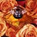 Lanc me Tr sor Eau de Parfum - Long Lasting Fragrance with Notes of Rose Lilac Peach & Apricot Blossom - Elegant & Romantic Women's Perfume 3.4 Fl Oz (Pack of 1) - Buy Online on GoSupps.com
