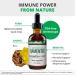 NutraMedix Samento - Immune & Microbial Support - 1 fl oz (30 ml) - Buy Online on GoSupps.com