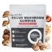 QualiLife Mushroom Gummies with Alpha-GPC & Rhodiola 12 Mushroom Complex with Lion s Mane Reishi Cordyceps Chaga & More Raspberry Pomegranate Flavor Vegan Non-GMO Pectin-Based 30 Servings