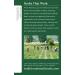 Organic Nettle Leaf Herbal Tea - Caffeine-Free, 16 Wrapped Bags | Traditional Medicinals - Buy Online on GoSupps.com