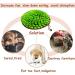 NEECONG Dog Snuffle Mat Slow Feeder Bowl - Encourages Natural Foraging Skills, Stress Relief - Portable Grassland Simulation for Indoor/Outdoor Fun - Buy Online on GoSupps.com