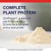 Metagenics Perfect Protein Pea & Rice - Plant-Based Protein Powder with 20g Protein & 3.5g BCAAs - Supports Muscle Growth & Recovery - Non-GMO Gluten-Free Dairy-Free - Vanilla - 30 Servings Vanilla 2.45 Pound (Pack of 1) - Buy Online on GoSupps.com