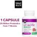 Vibrant Health U.T. Biotic Probiotic Support - 30 Capsules for Bladder & Urinary Health - Buy Online on GoSupps.com