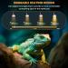 EASYIVY E27 Reptile Heating Bulb 50W UVA UVB Turtle Basking Light Bulb Dimmable Tortoise Heat Lamp Bulbs for Bearded Dragon Lizard Snake Gecko Chameleon Amphibian 4-Pack - Buy Online on GoSupps.com
