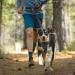 Ownpets Hands Free Dog Lead with Waist Bag - Shock-Absorbing, Dual-Handle, Reflective Bungee Stretch Leash for Running, Walking, and Dog Training - Buy Online on GoSupps.com