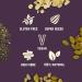 Veloforte Fig & Oat Wellness Bar Pack (12) - Buy Online on GoSupps.com