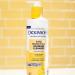 Dickinson's Original Witch Hazel Pore Perfecting Foaming Cleanser - 12 Fl Oz | Gentle Cleanser for All Skin Types | International Shipping Available - Buy Online on GoSupps.com