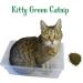 Organic Catnip by Kitty Green Grown in North America. - Buy Online on GoSupps.com