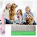 Soulpala Lint Roll - 2 Handles + 12 Replacement Rolls | Effective Pet Hair Remover for Clothing Sofa Bed & Carpet - Buy Online on GoSupps.com