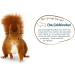 Elle's Squirrel Feed 600g - Nutty Variety with Peanuts Hazelnuts & Walnuts | Natural Vitamins for Winter | Premium Squirrel Mix - Buy Online on GoSupps.com