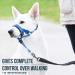 Goodboy Dog Halter with Seat Belt | Padded Leash Restraint for Small Medium & Large Dogs | Size 1 Blue Nylon with Black Padding | Prevents Pulling - Buy Online on GoSupps.com