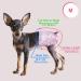 Soft Disposable Dog & Cat Diapers - 20 Pack High-Suction Adjustable Trousers for Bitches - Buy Online on GoSupps.com
