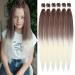 Easy Braid Pre Stretched Braiding Hair 26 Inch 6packs Natural Hair Kanecalon BraIding Hair Yaki Texture Free Hot Water Setting Braid Crochet Hair Extensions (26 Inch 30-613#) 66cm-26 inch (6 Pack) 30-613#