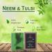 Buy SVATV Handcrafted Neem & Tulsi Soap - Natural Exfoliating Ayurvedic Herbal Soap for All Skin Types | 250g Pack (2 Bars - Buy Online on GoSupps.com