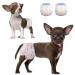 Dono disposable dog diapers female 48 pieces super absorbent leak-proof dog diapers female for season cat diapers dog pants for incontinence heat period irritable trace XXS XS S M L XS-48count 48.0