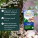 Host Defense Stamets 7 Mushroom Complex Supplements |Immune Booster Supplement with 7 Mushroom Blend - Lions Mane Chaga Cordyceps Reishi Maitake Mushrooms Supplements Capsules (120 Count (Pack of 1) Stamets 7 Capsules) Stamets 7 Capsules 120 count (Pack o - Buy Online on GoSupps.com