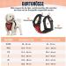 Slowton No Pull Dog Harness for Small & Medium Dogs Soft Padded & Breathable Safety Harness - Buy Online on GoSupps.com