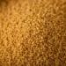 Bio Couscous Whole Grain 7.2 kg | S ssundclever.de | Untreated & Eco-Friendly Packaging | Imported from Italy - Buy Online on GoSupps.com