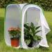 TSLBW Insect Butterfly Habitat Butterfly Garden Kit Large Butterfly Habitat Cage Collapsible Pop-up Insect Monarch Butterfly Net Butterfly House for Kids 40 * 40 * 60cm - Buy Online on GoSupps.com