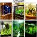 Buy Hzyclzh Stainless Steel Air Distributor & Control Valve for Aquariums | Air Flow Controller & Check Valve for Aquaculture - Buy Online on GoSupps.com