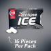 Dentyne Ice Arctic Chill Sugar Free Gum - 144 Total Pieces (16 Count, Pack of 9) - Buy Online on GoSupps.com