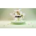 Shop Tones Coverland Acrylic Nail Powder Lily Pad - Limited Edition 1.5 Oz for Nail Design & Sculpting | Professional Acrylic Nail Supplies - Buy Online on GoSupps.com