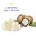 Dove 0% Aluminum Shea Butter Deodorant 2.6 oz - Natural & Effective Protection - Buy Online on GoSupps.com