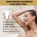 Organic Ginger Hair Growth Shampoo - Anti Hair Loss, Anti-Dandruff & Promotes Hair Growth - For Men and Women (1pcs) - Buy Online on GoSupps.com