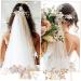 PLAFOPE 1 Set Comb Set Bride Side Combs Hair Decorations U Shaped Hair Pins Rhinestones Wedding Side Comb Wedding Hair Pins Wedding Veil Combs Flower Bridal Combs Hair Flowers Pearl White - Buy Online on GoSupps.com