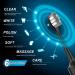 EKLMGEK Rechargeable Electric Toothbrush for Adults and Kids - 6 Modes, IPX7 Waterproof, 8 Pcs Replacement Brushheads (Black) - Buy Online on GoSupps.com