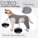XXL Gray Dog Body Suit for Post-Op Recovery | Wound Protection for Dogs | E-Collar Alternative | Hjyokuso Dogebody - Buy Online on GoSupps.com