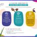 KAIRLY - Spray D m lant KAPIWI Kids - Cheveux Boucl s & Fris s - D m le Hydrate & Redonne clat - 250ml - 97% Naturel - Aloe Vera Coco & Karit  - Buy Online on GoSupps.com
