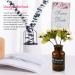 TKOnline 180 Pieces Plastic Floral Picks Transparent Fork Shape Flower Picks Card Holders for Cards  Photos  Floral Arrangement  Weddings  Parties  Home Decor(9.4 Inch and 12.2 Inch) - Buy Online on GoSupps.com