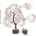 Quartz Crystals - Rose Quartz Crystals - Crystal Tree - Feng Shui - Healing Crystals - Gem Tree - Meditation Accessories - Christmas Gifts - Spiritual Gifts for Women Rose Quartz Tree - Buy Online on GoSupps.com