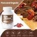 Organic Reishi Mushroom Capsules 120 Count - Heart & Blood Health, Immune Support Supplement - Vegan, Gluten Free - Buy Online on GoSupps.com