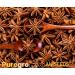 PureGro STAR ANISEEDS 150g 100% Natural Quality Product. - Buy Online on GoSupps.com