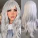 Colorfulpanda 28" 70cm Long Grey Curly Full Wavy Hair Wig Anime Cosplay Halloween Costume Party Synthetic Wigs for Women Silver White Silver Grey