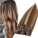 SEGO clip in Extensions real hair hair extension hair part 8 suits heat-resistant smooth 7a 100% human hair medium brown/honeyblond #4P27-1 25 cm (75 g) 25 cm medium brown/honeyblond #4P27