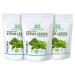 Herbal Magic's organic Stevia Leaf Powder Sweetener Natural Dried Powder for Super Smoothie Shake Juice Baking - Free From Fillers & preservatives - 100g (Pack of 3) 100 g (Pack of 3)