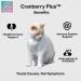 Cranberry Chews for Cats - UTI, Bladder, Kidney & Urinary Tract Support - 60 Soft Treats with Cranberry Extract, Echinacea & Vitamin C - Buy Online on GoSupps.com