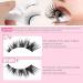 VEROA Magnetic Eyelashes With Applicator - Natural Look Cat Eyemagnetic Lashes Without Eyeliner - Reusable Magnetic Eyelashes Lightweight Waterproof Easy To Wear(Black) - Buy Online on GoSupps.com