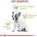 Royal Canin French Bulldog Puppy Breed Specific Dry Dog Food 3kg - Buy Online on GoSupps.com