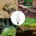 Compact Pro 8.0 UVB Lamp for Terrariums | Energy-Saving Daylight for Agamens Chameleons Iguanas & Turtles - Buy Online on GoSupps.com