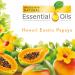 Air Wick Plug in Scented Oil Hawaii 0.67oz - Essential Oils Air Freshener - Buy Online on GoSupps.com