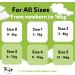 Buy The Cheeky Panda Bamboo Baby Diapers Size 1 (2-5kg) 48 Super Absorbent Sustainable Diapers for Sensitive Skin Up to 12 Hours Leak Protection - Buy Online on GoSupps.com
