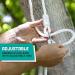 Squirrel Products Heavy Duty Blue Disc Tree Swing with Rope for Outdoor Play - Buy Online on GoSupps.com
