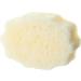 Spongell Pedi-Buffer - Cleanse Exfoliate & Polish Feet - Honey Blossom - Buy Online on GoSupps.com