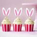Ercadio 24 Pack Easter Bunny Pink Ears Cupcake Toppers Pink White Bunny Ears Cupcake Picks Easter Rabbit Ears Cupcake Toppers for Easter Day Theme Baby Shower Birthday Party Decor Supplies Pink-3 - Buy Online on GoSupps.com